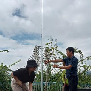 <a href="/tin-tuc-su-kien/thong-tin-kinh-te-chinh-tri-xa-hoi" title="Hoạt động kinh tế - chính trị - xã hội" rel="dofollow">Kinh tế - Chính trị - Xã Hội</a>